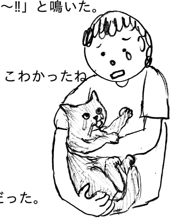 f:id:oxoxoxoxoxox:20240104212450j:image