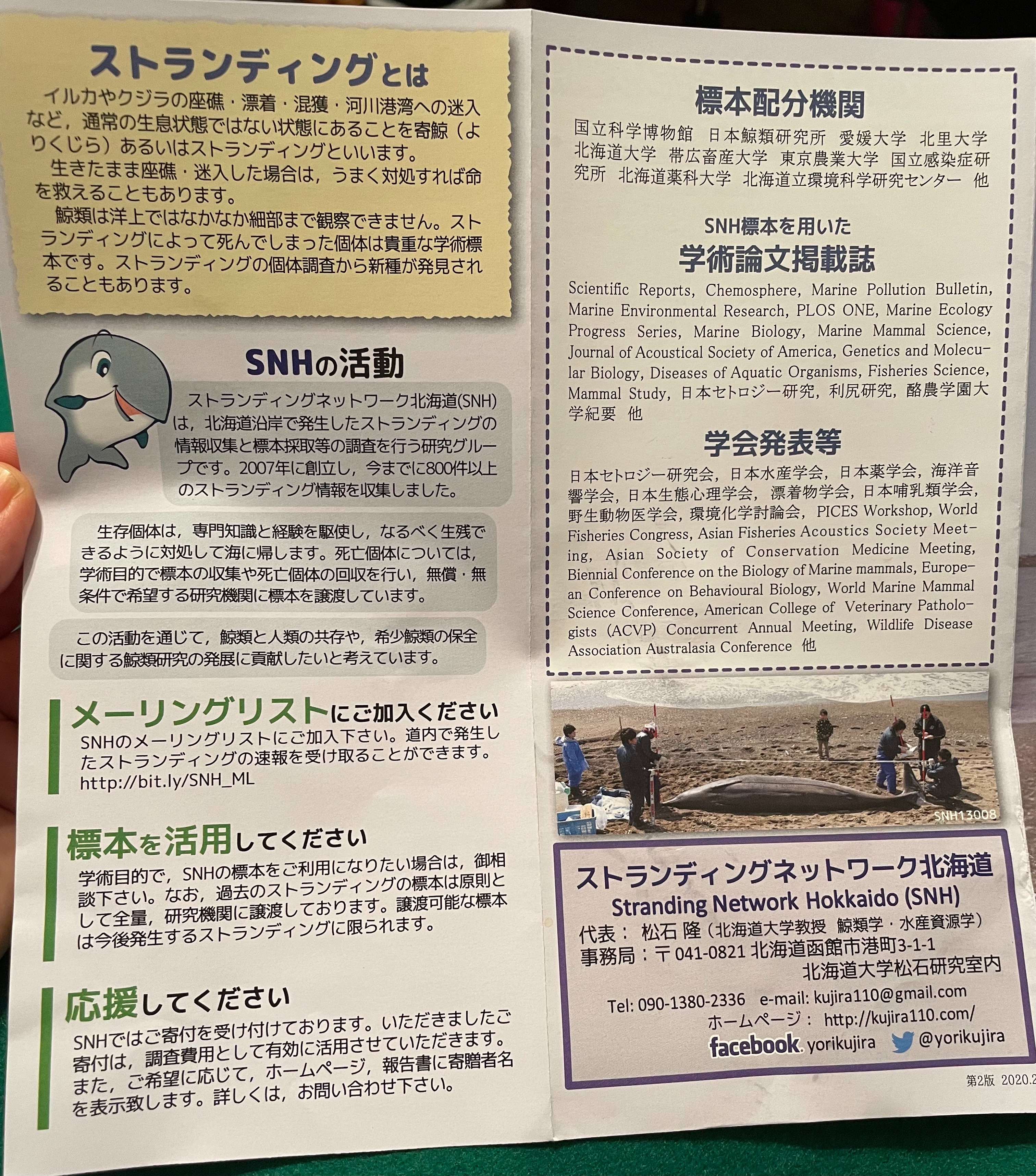 f:id:oxoxoxoxoxox:20240609215110j:image