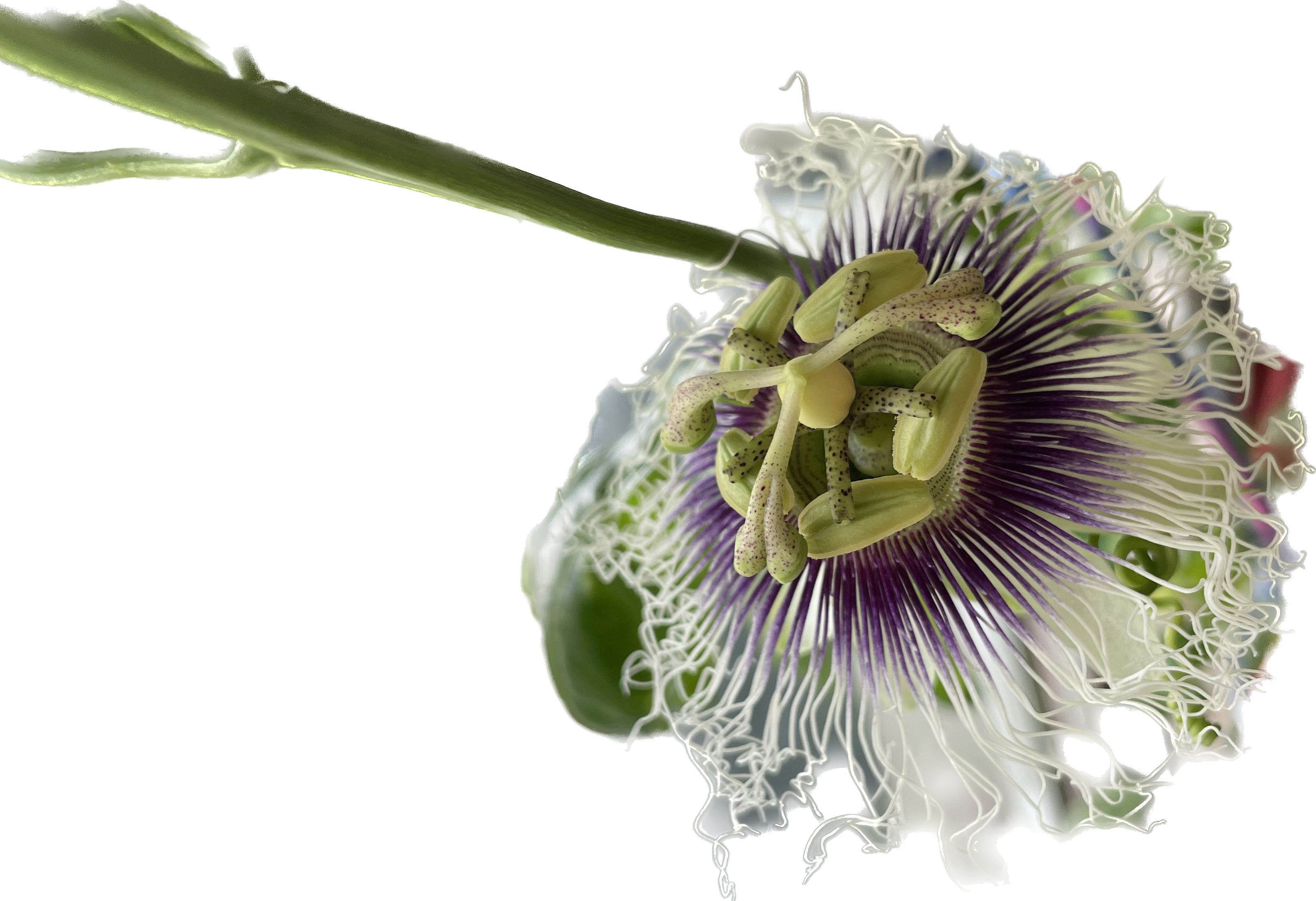 f:id:oxoxoxoxoxox:20240610201429p:image f:id:oxoxoxoxoxox:20240610201429p:image