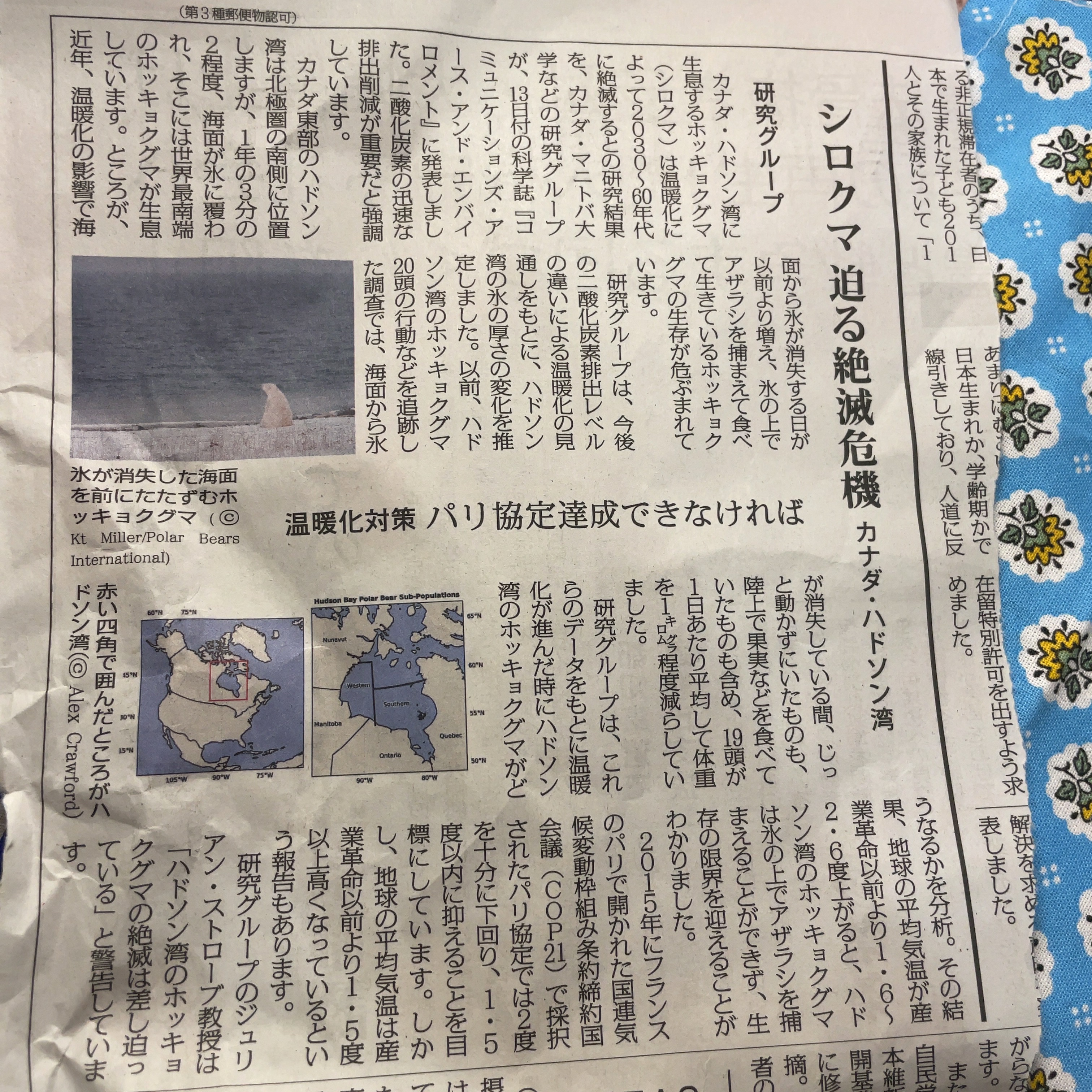 f:id:oxoxoxoxoxox:20240731020534j:image f:id:oxoxoxoxoxox:20240731020534j:image