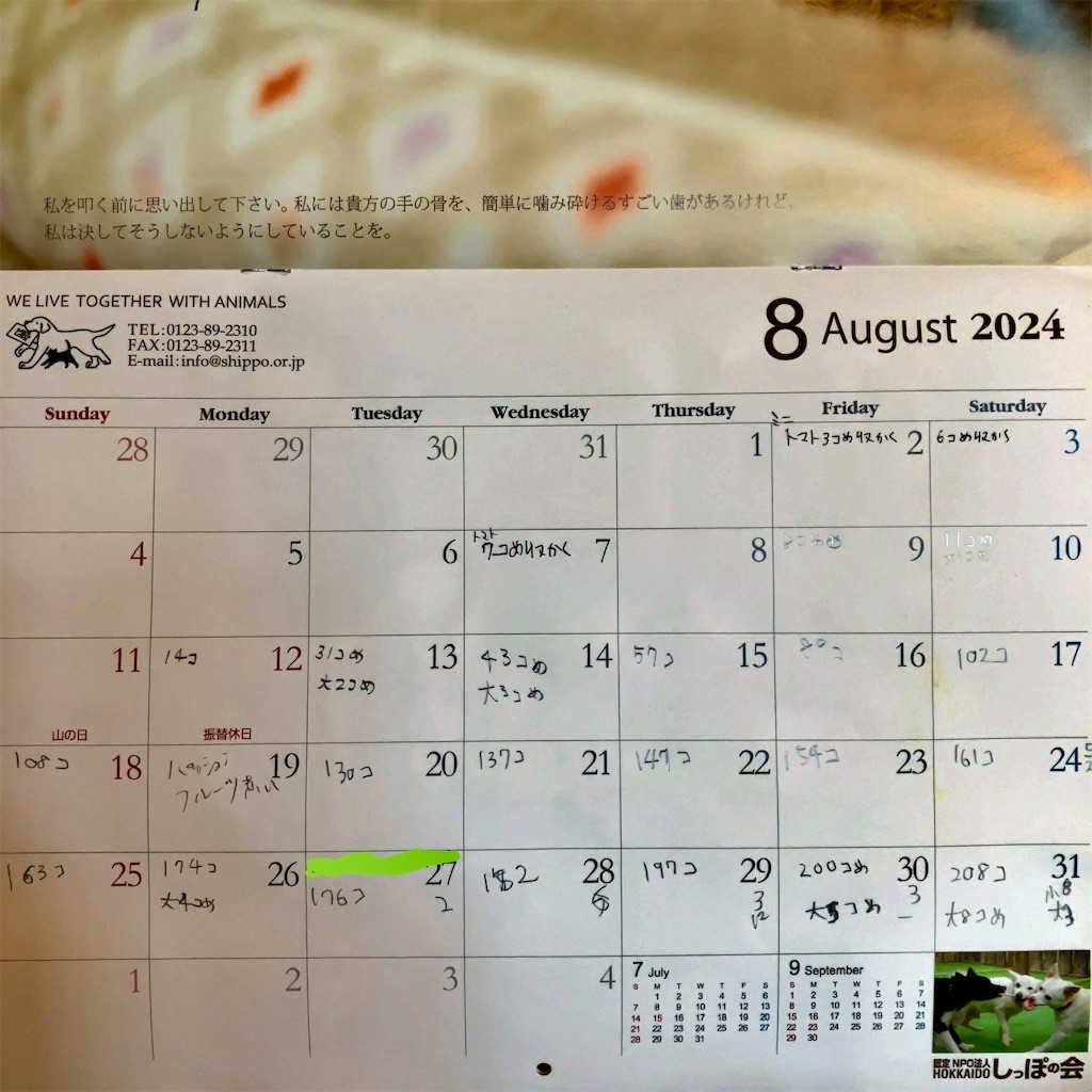 f:id:oxoxoxoxoxox:20240831124258j:image