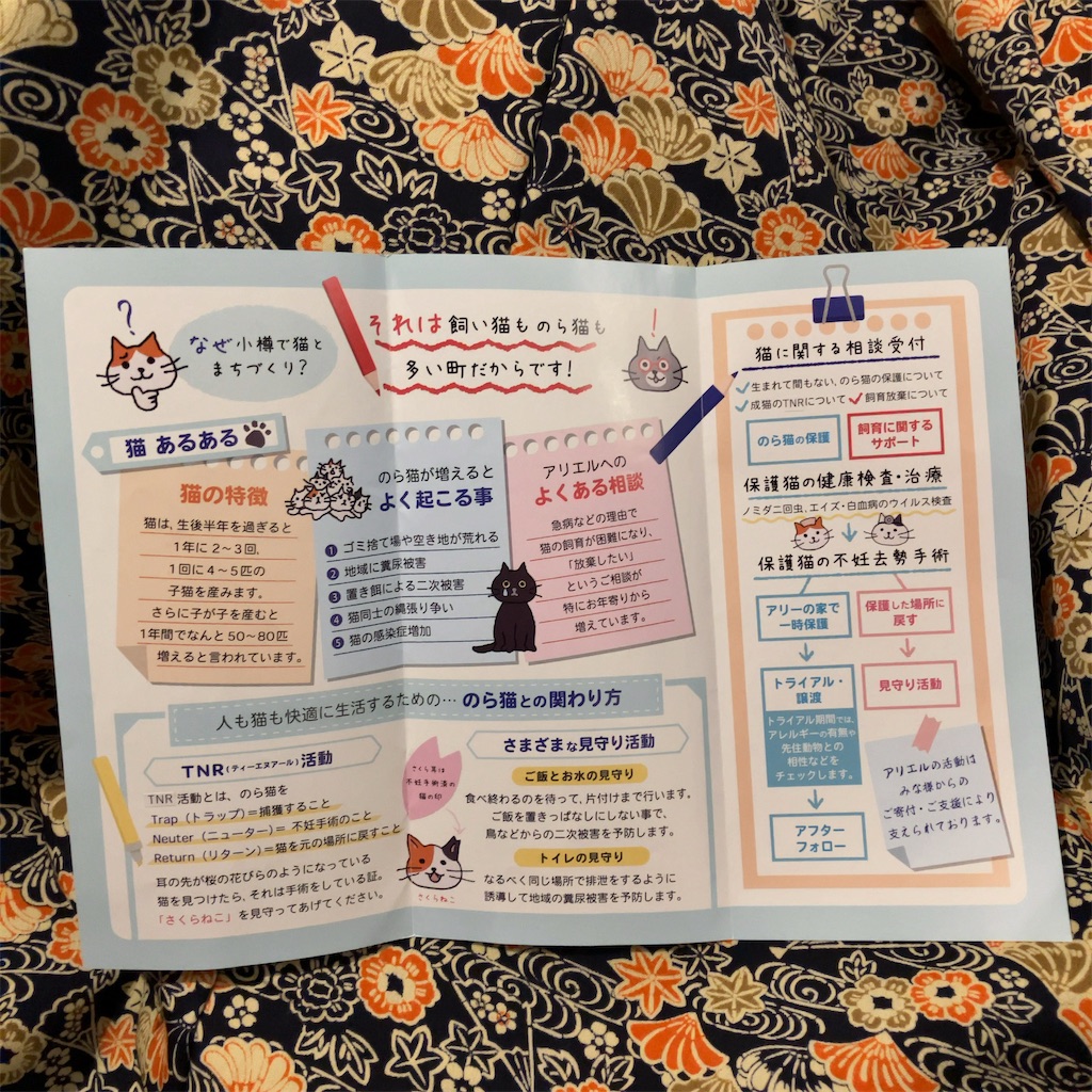 f:id:oxoxoxoxoxox:20241122181857j:image