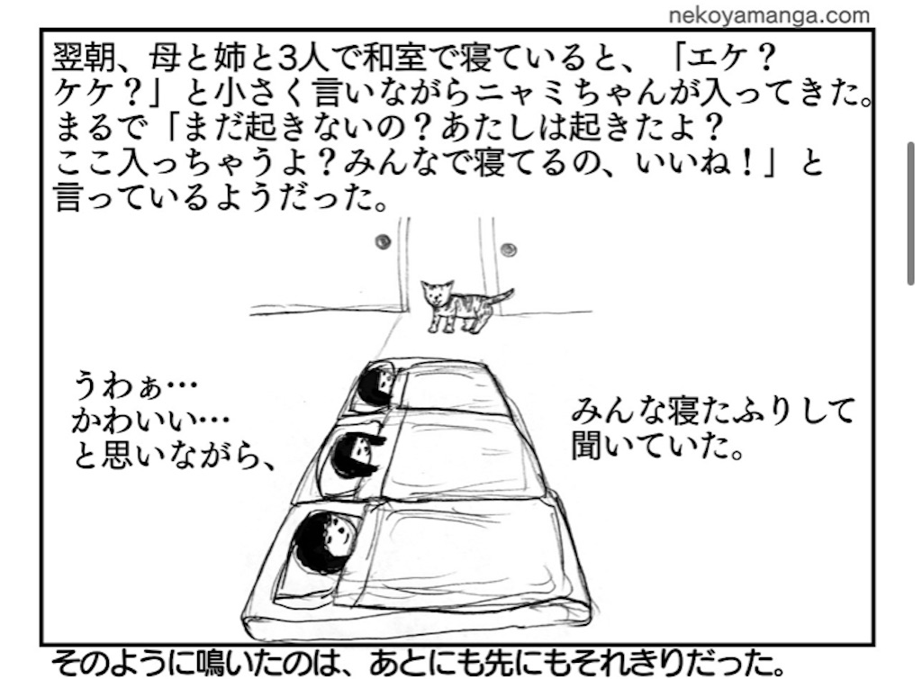 f:id:oxoxoxoxoxox:20241124211529j:image