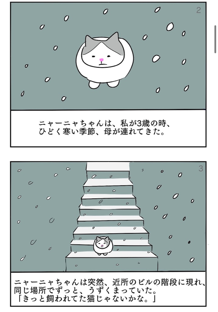 f:id:oxoxoxoxoxox:20241216212814j:image