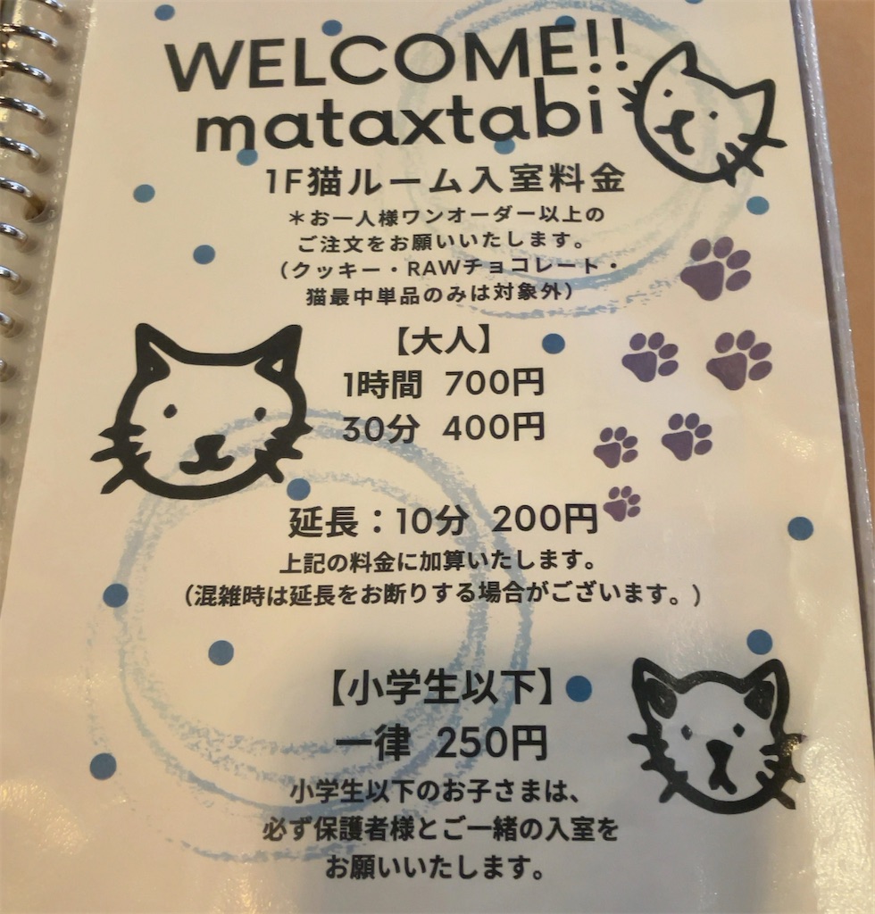 f:id:oxoxoxoxoxox:20241217004356j:image