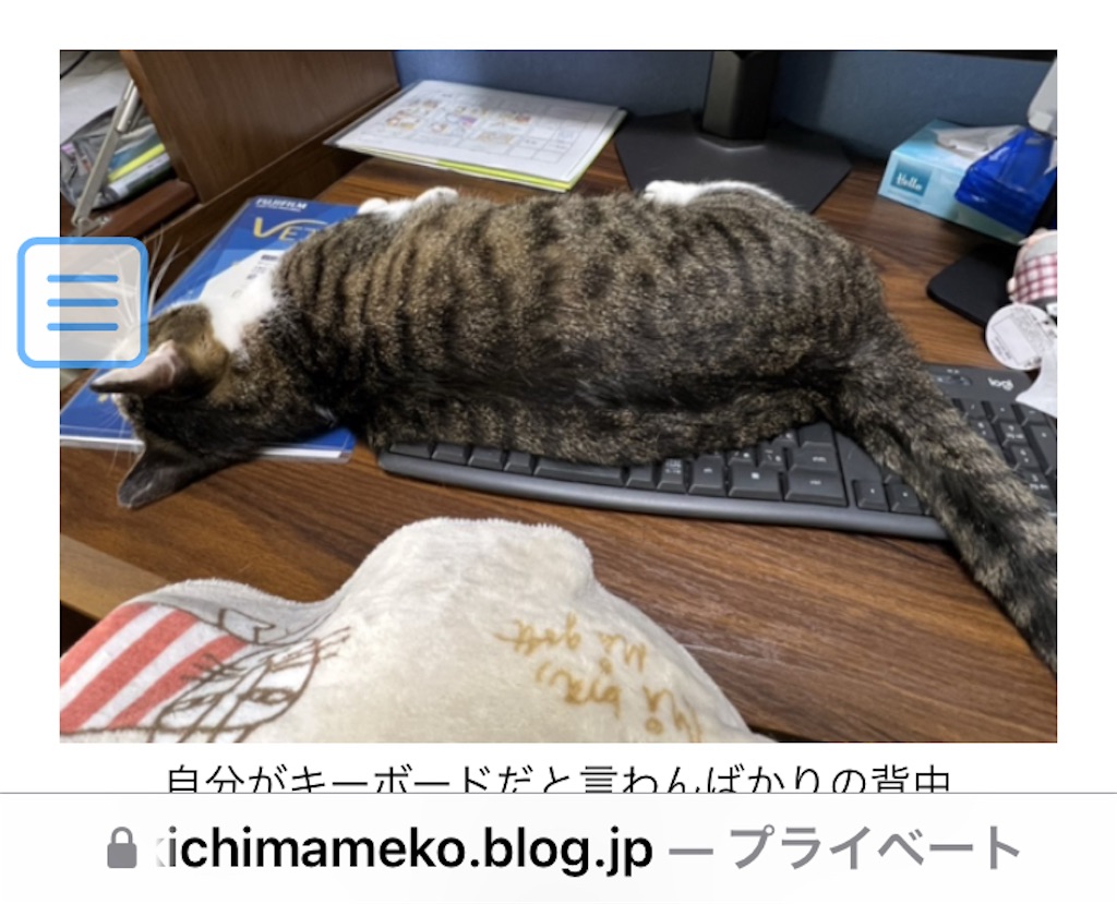 f:id:oxoxoxoxoxox:20250104145723j:image