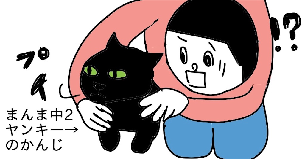 f:id:oxoxoxoxoxox:20250207135728j:image