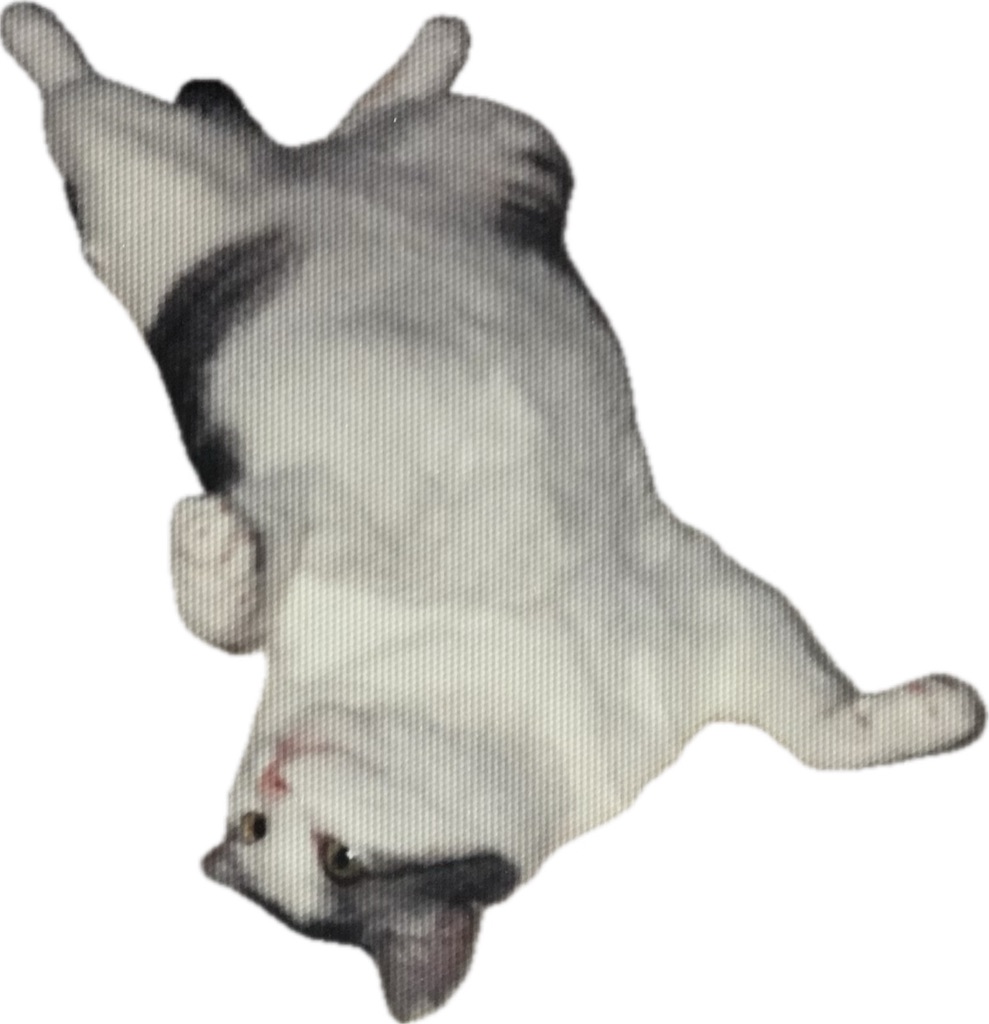 f:id:oxoxoxoxoxox:20250501093054j:image