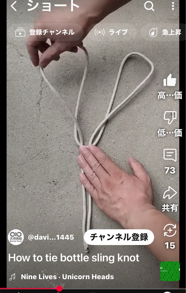 f:id:oxoxoxoxoxox:20250507225222j:image