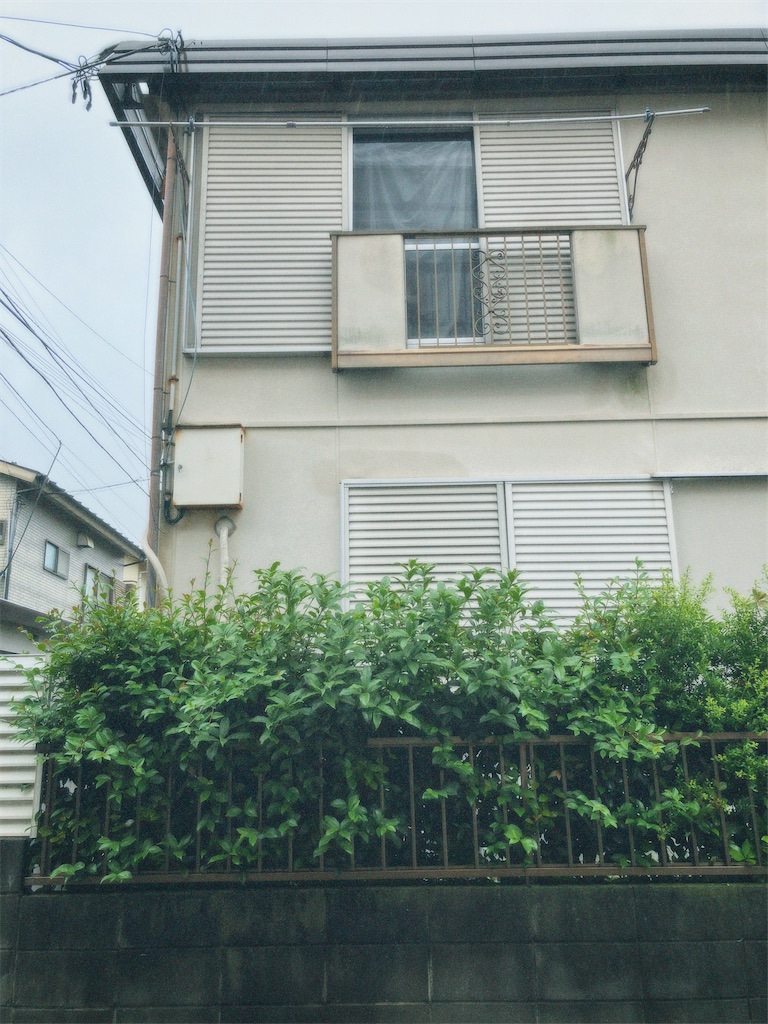 f:id:oxoxoxoxoxox:20250629110105j:image