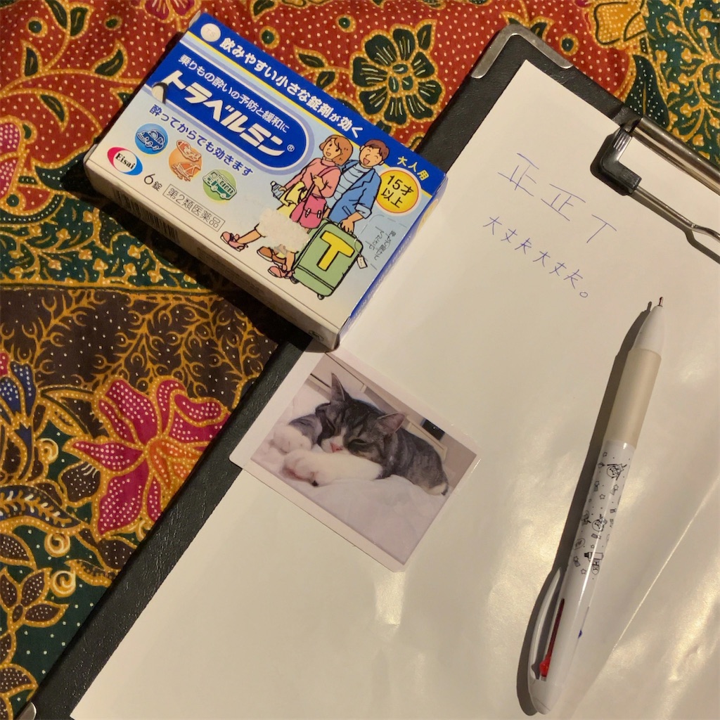 f:id:oxoxoxoxoxox:20250907224357j:image