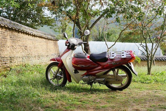 Daelim Motor Citi ACE 110 - maido