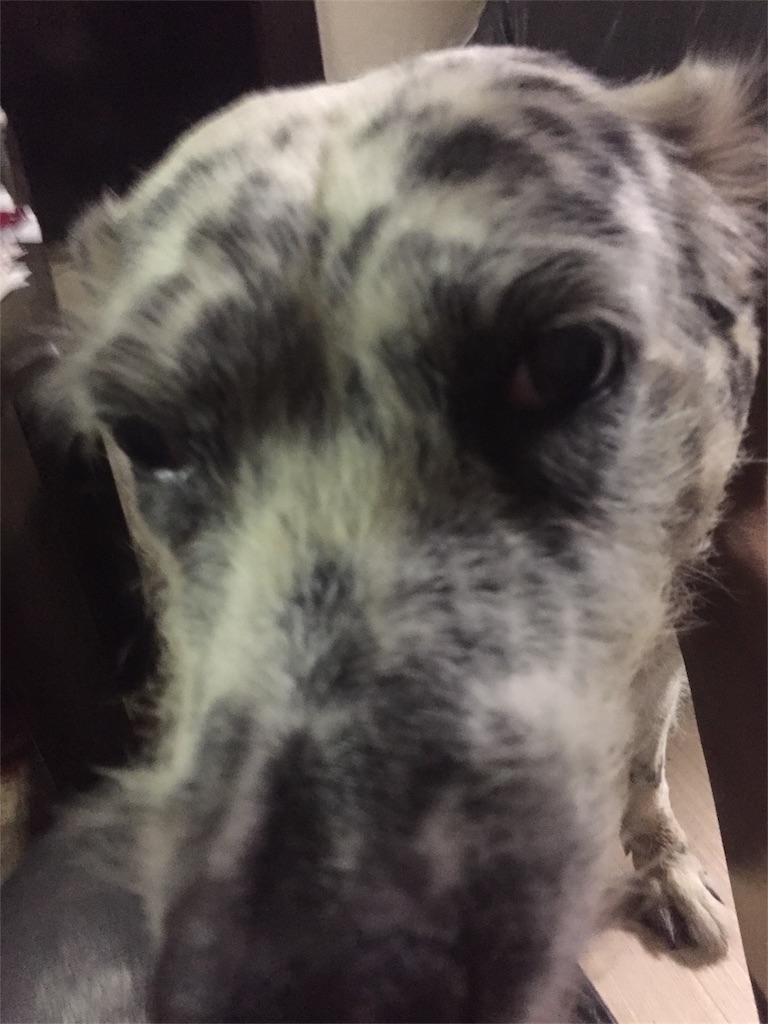 f:id:oyabun7badlands:20180921193406j:image