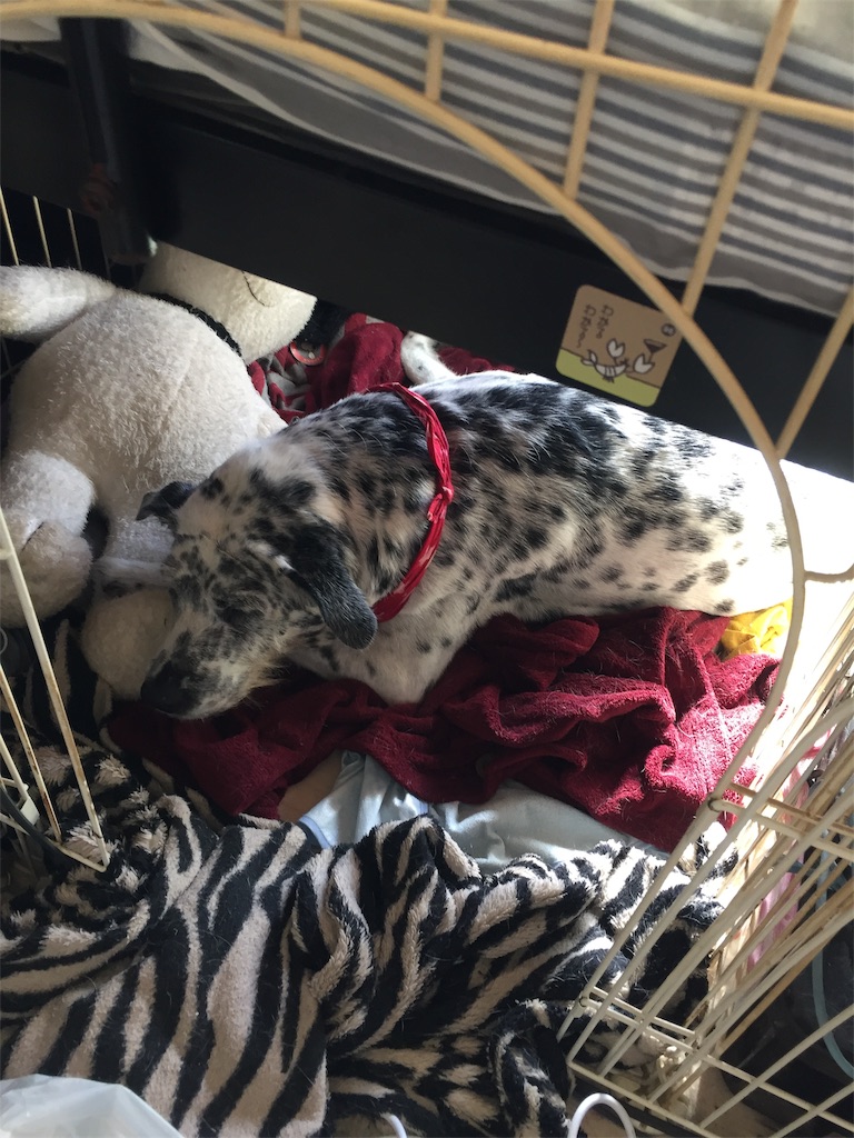 f:id:oyabun7badlands:20181104154129j:image