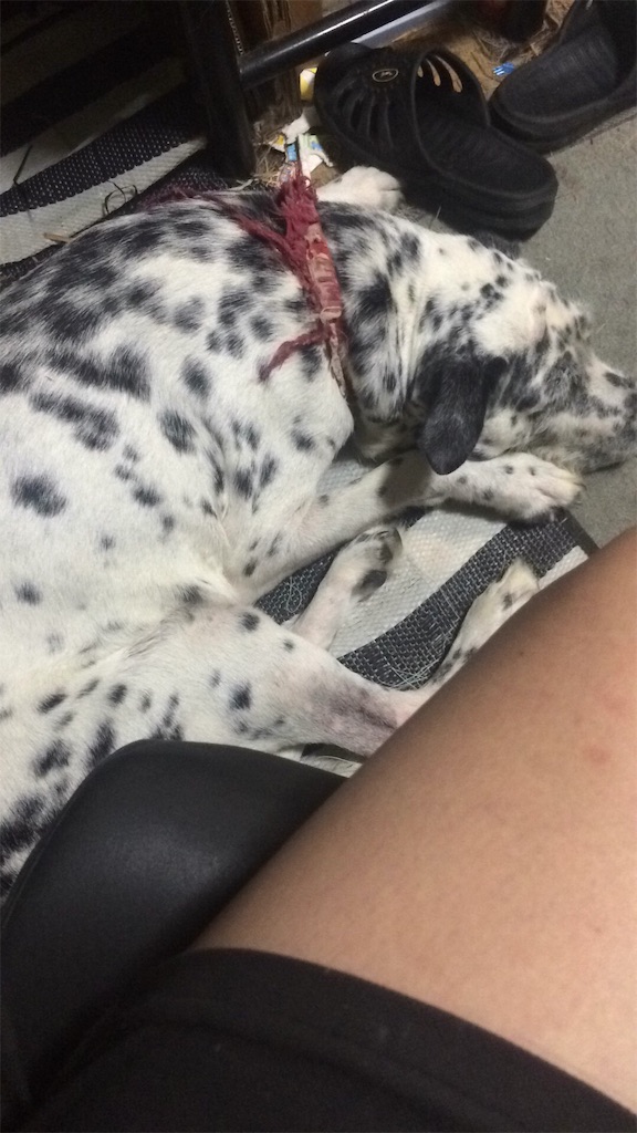 f:id:oyabun7badlands:20181123121417j:image