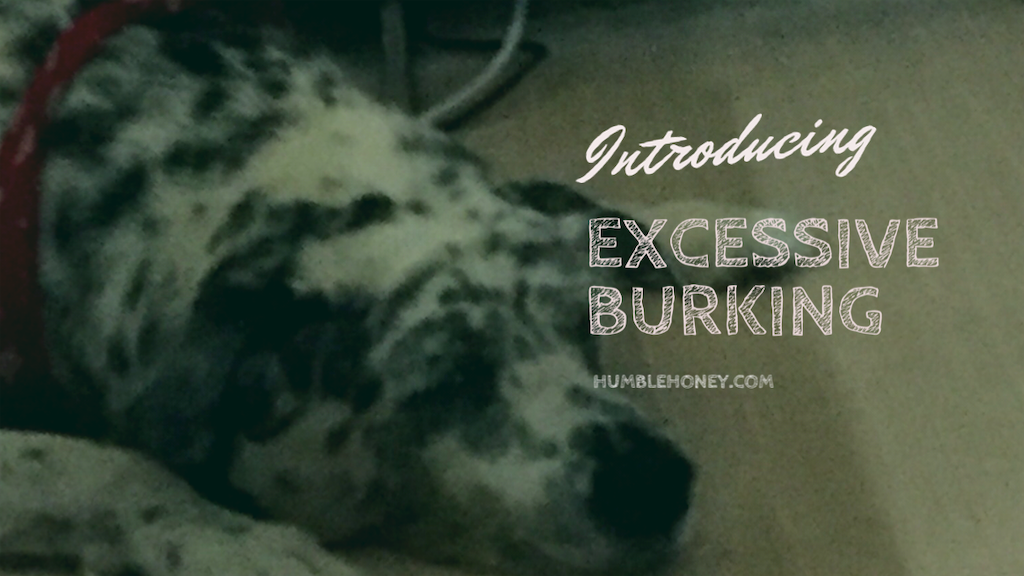 f:id:oyabun7badlands:20200119214030p:image f:id:oyabun7badlands:20200119214030p:image