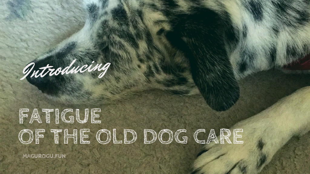 f:id:oyabun7badlands:20200123194606p:image