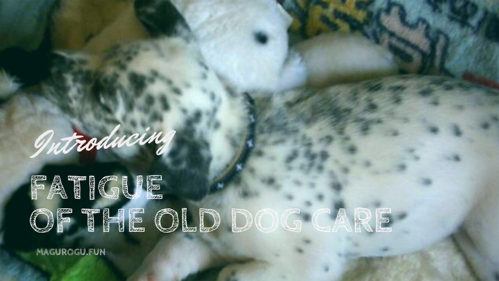 f:id:oyabun7badlands:20200123195145p:image