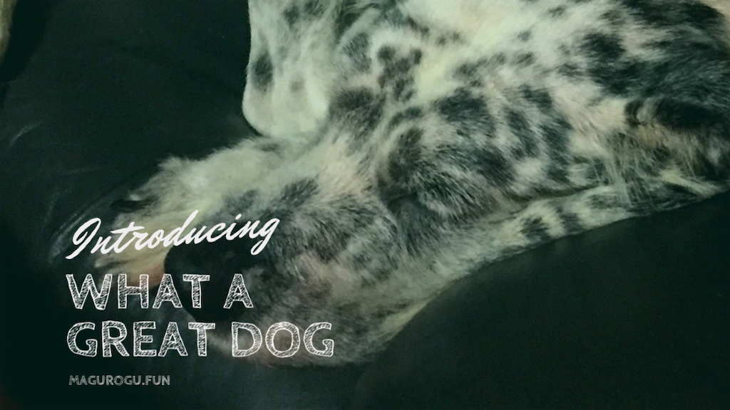 f:id:oyabun7badlands:20200326095747p:image