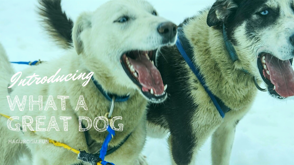 f:id:oyabun7badlands:20200326101909p:image