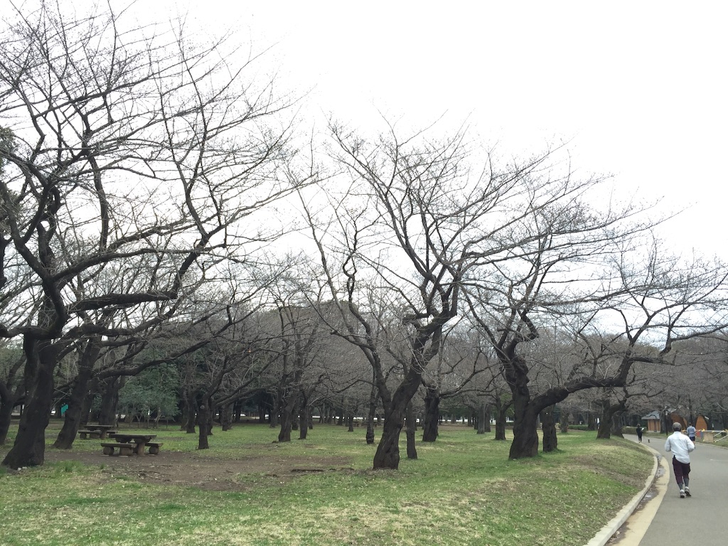f:id:oyaco_blog:20160320085316j:image f:id:oyaco_blog:20160320085316j:image