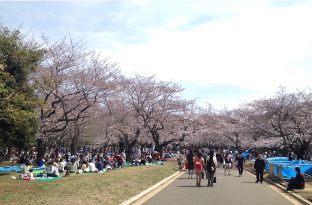 f:id:oyaco_blog:20160320085857j:image f:id:oyaco_blog:20160320085857j:image