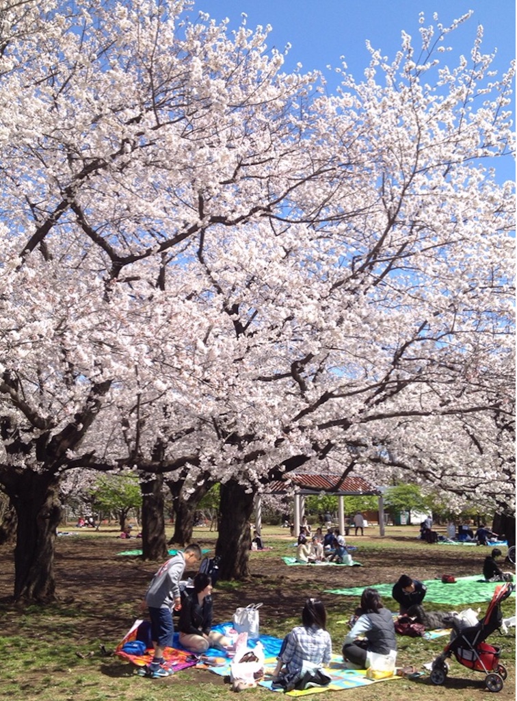 f:id:oyaco_blog:20160320090016j:image f:id:oyaco_blog:20160320090016j:image