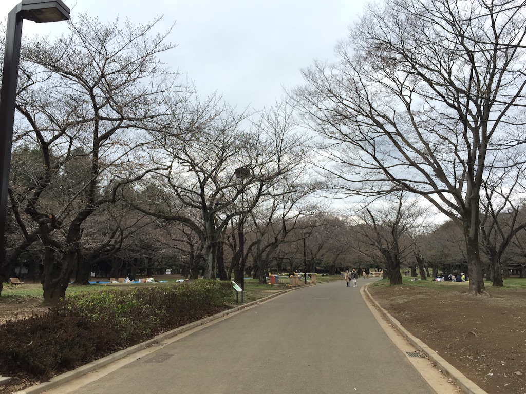 f:id:oyaco_blog:20160321110849j:image f:id:oyaco_blog:20160321110849j:image