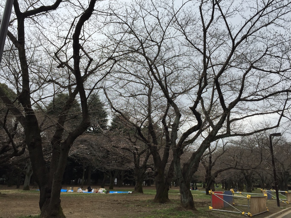 f:id:oyaco_blog:20160321111556j:image f:id:oyaco_blog:20160321111556j:image
