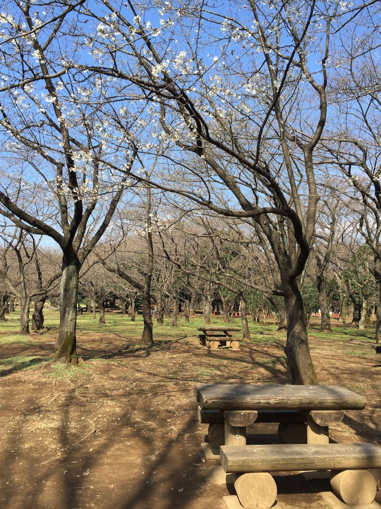 f:id:oyaco_blog:20160322114229j:image f:id:oyaco_blog:20160322114229j:image