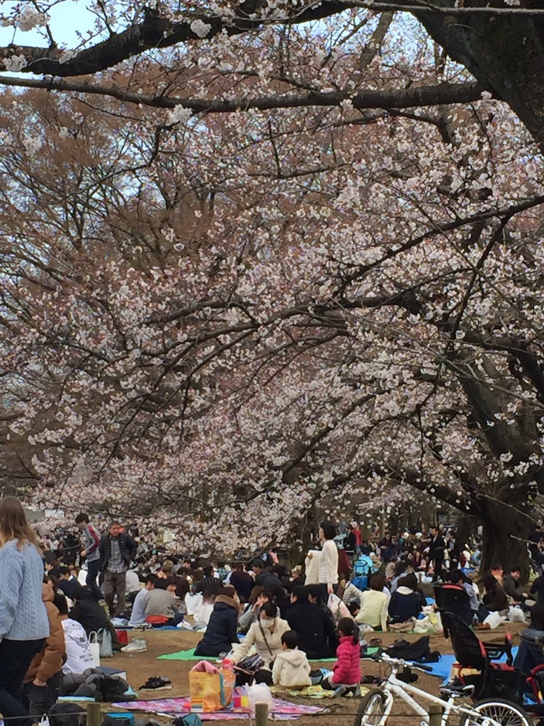 f:id:oyaco_blog:20160327145511j:image f:id:oyaco_blog:20160327145511j:image