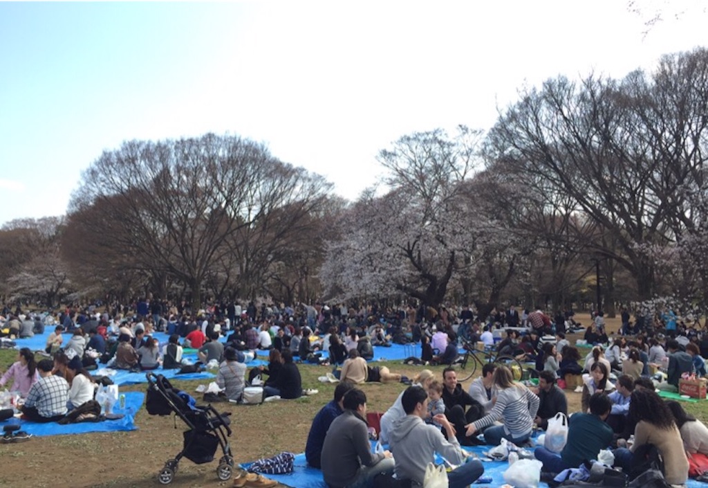 f:id:oyaco_blog:20160327145712j:image f:id:oyaco_blog:20160327145712j:image