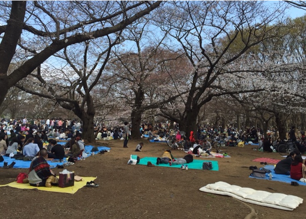f:id:oyaco_blog:20160327145930j:image f:id:oyaco_blog:20160327145930j:image