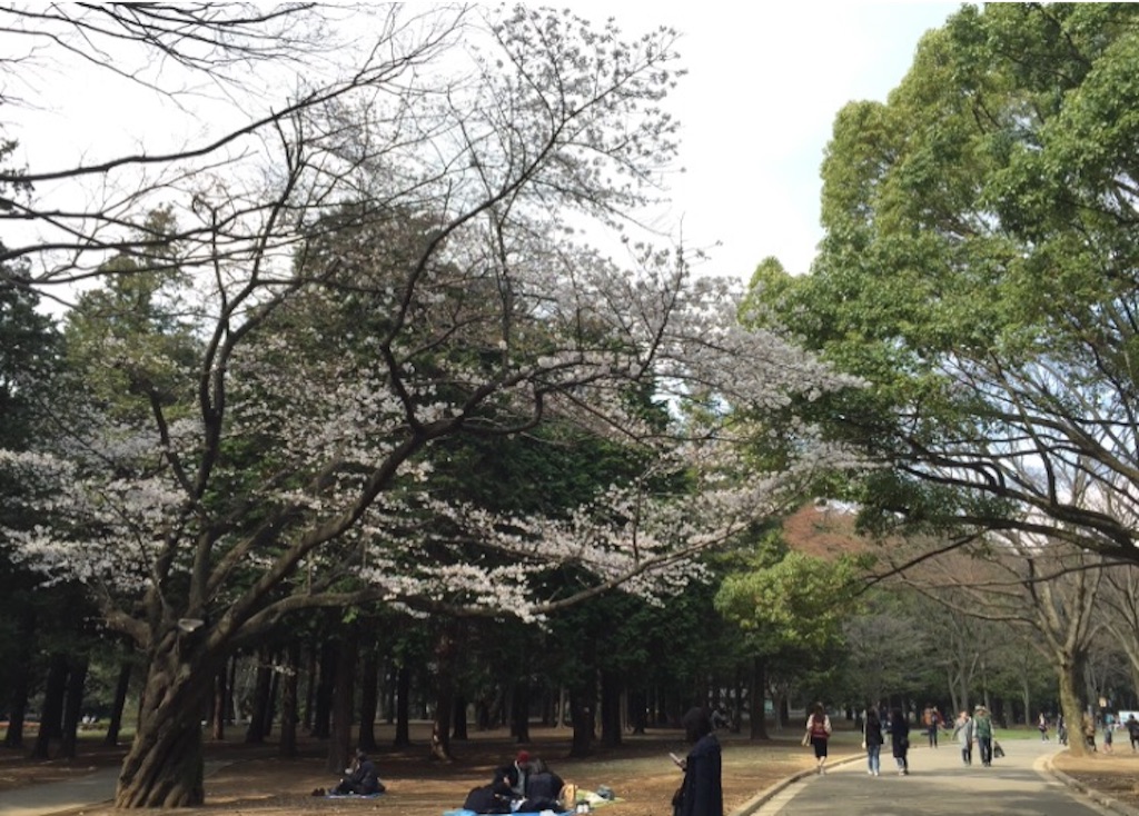 f:id:oyaco_blog:20160327150107j:image f:id:oyaco_blog:20160327150107j:image