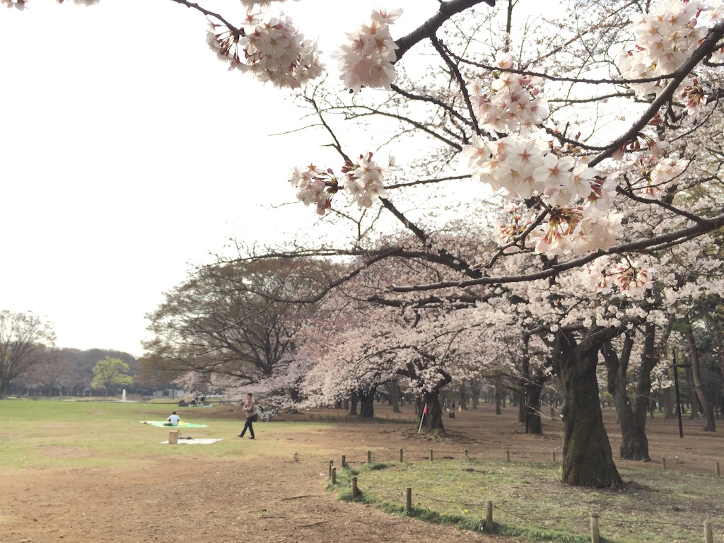 f:id:oyaco_blog:20160330091656j:image f:id:oyaco_blog:20160330091656j:image