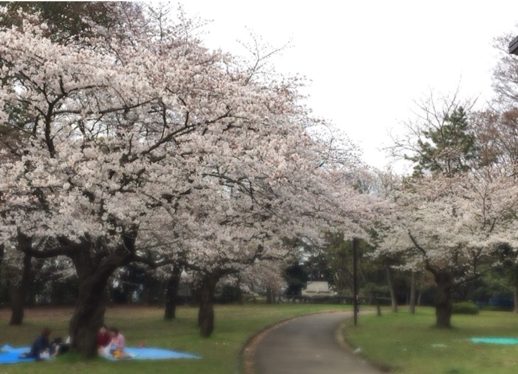 f:id:oyaco_blog:20160330091709j:image f:id:oyaco_blog:20160330091709j:image