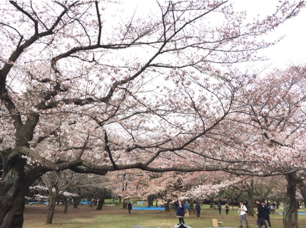 f:id:oyaco_blog:20160330091811j:image f:id:oyaco_blog:20160330091811j:image