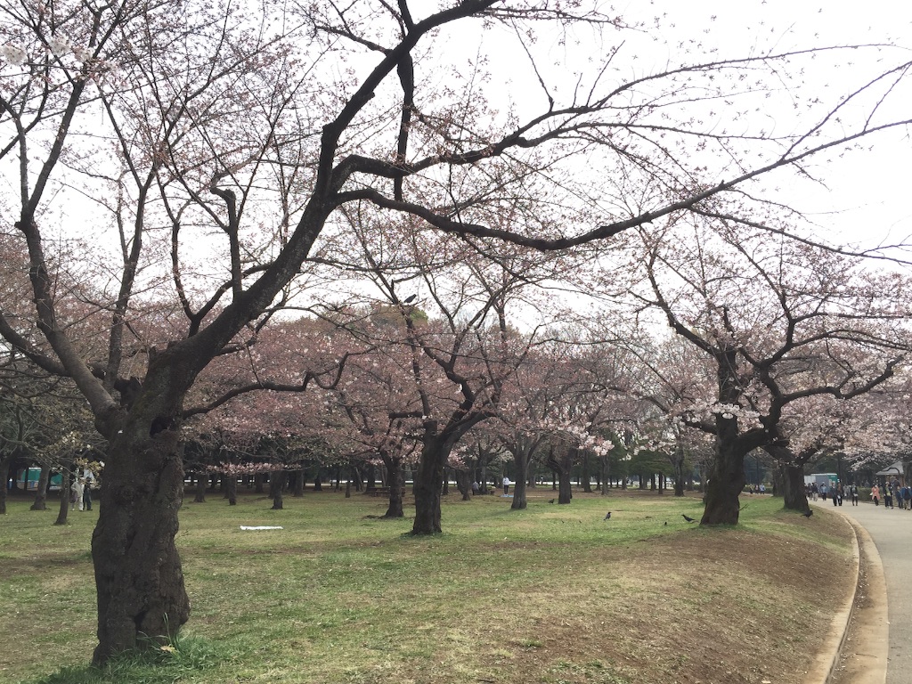 f:id:oyaco_blog:20160330091829j:image f:id:oyaco_blog:20160330091829j:image