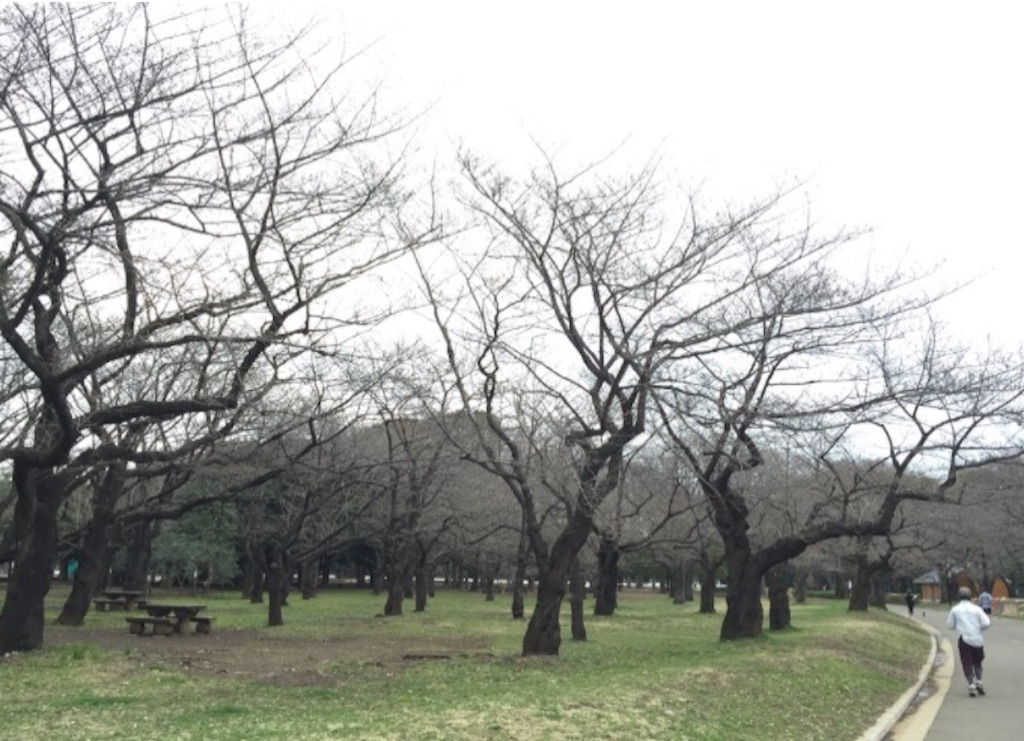 f:id:oyaco_blog:20160401101235j:image f:id:oyaco_blog:20160401101235j:image