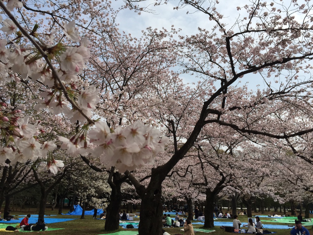 f:id:oyaco_blog:20160401101519j:image f:id:oyaco_blog:20160401101519j:image