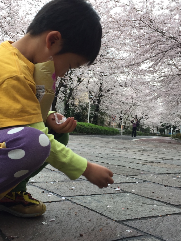 f:id:oyaco_blog:20160403161552j:image f:id:oyaco_blog:20160403161552j:image