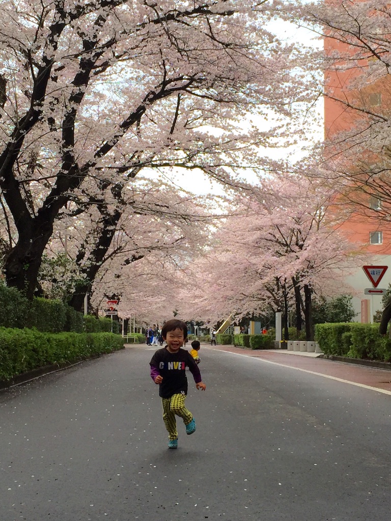 f:id:oyaco_blog:20160403161813j:image f:id:oyaco_blog:20160403161813j:image