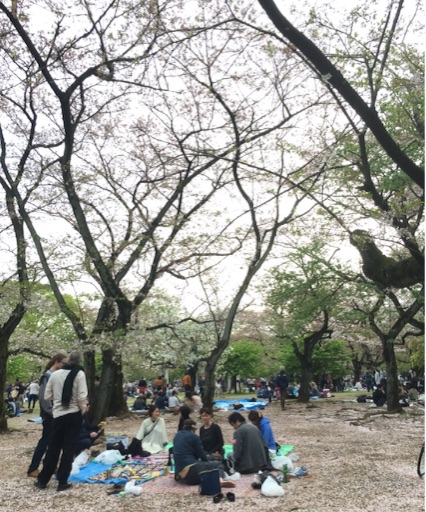 f:id:oyaco_blog:20160409193907j:image f:id:oyaco_blog:20160409193907j:image