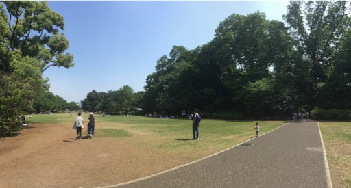 f:id:oyaco_blog:20160514161806j:image f:id:oyaco_blog:20160514161806j:image
