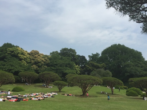f:id:oyaco_blog:20160514162921j:image f:id:oyaco_blog:20160514162921j:image