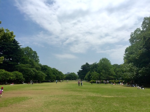 f:id:oyaco_blog:20160514165116j:image f:id:oyaco_blog:20160514165116j:image