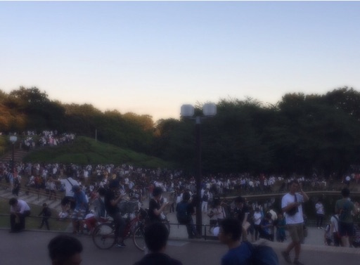 f:id:oyaco_blog:20160805212021j:image f:id:oyaco_blog:20160805212021j:image