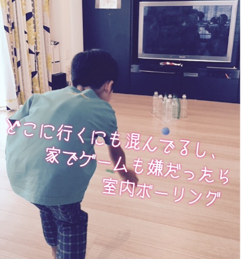 f:id:oyaco_blog:20160810210844j:image f:id:oyaco_blog:20160810210844j:image