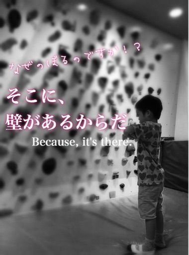 f:id:oyaco_blog:20160827191311j:image f:id:oyaco_blog:20160827191311j:image