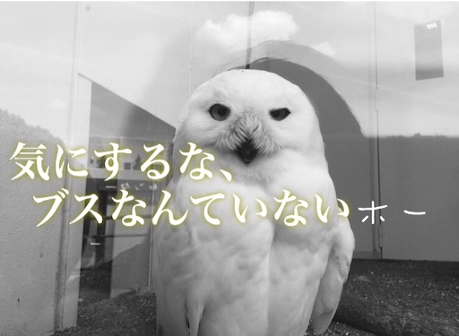 f:id:oyaco_blog:20160829094815j:image f:id:oyaco_blog:20160829094815j:image